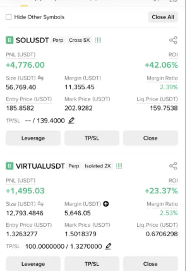 20대 대학생 지인 · 포지션 2개(SOL · VIRTUAL) 평가 손익